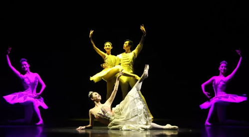 以美育人，以文化人 遼寧芭蕾舞團專場演出點亮寧夏大學(xué)新華學(xué)院藝術(shù)星空